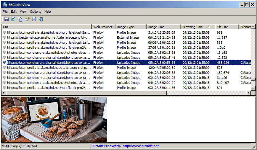 https://www.nirsoft.net/utils/fbcacheview.png